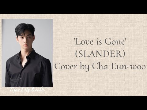 Recent activity shot of Cha Eunwoo