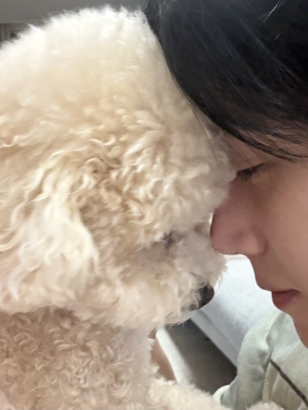 김선호 팬이 찍은 순간