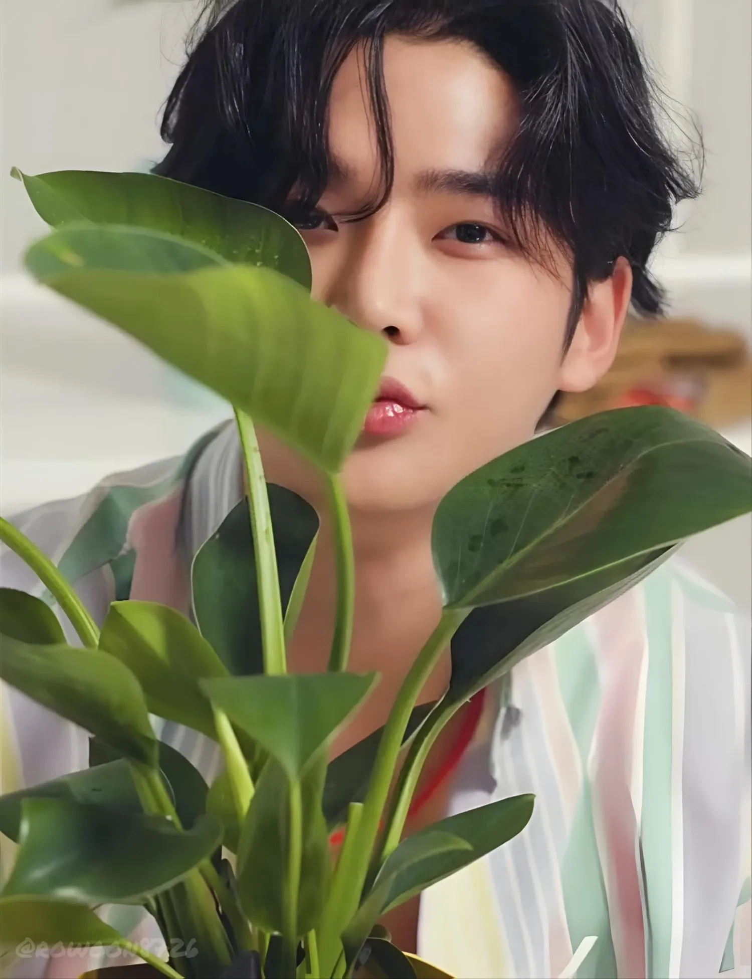 Momen yang diabadikan oleh penggemar Rowoon