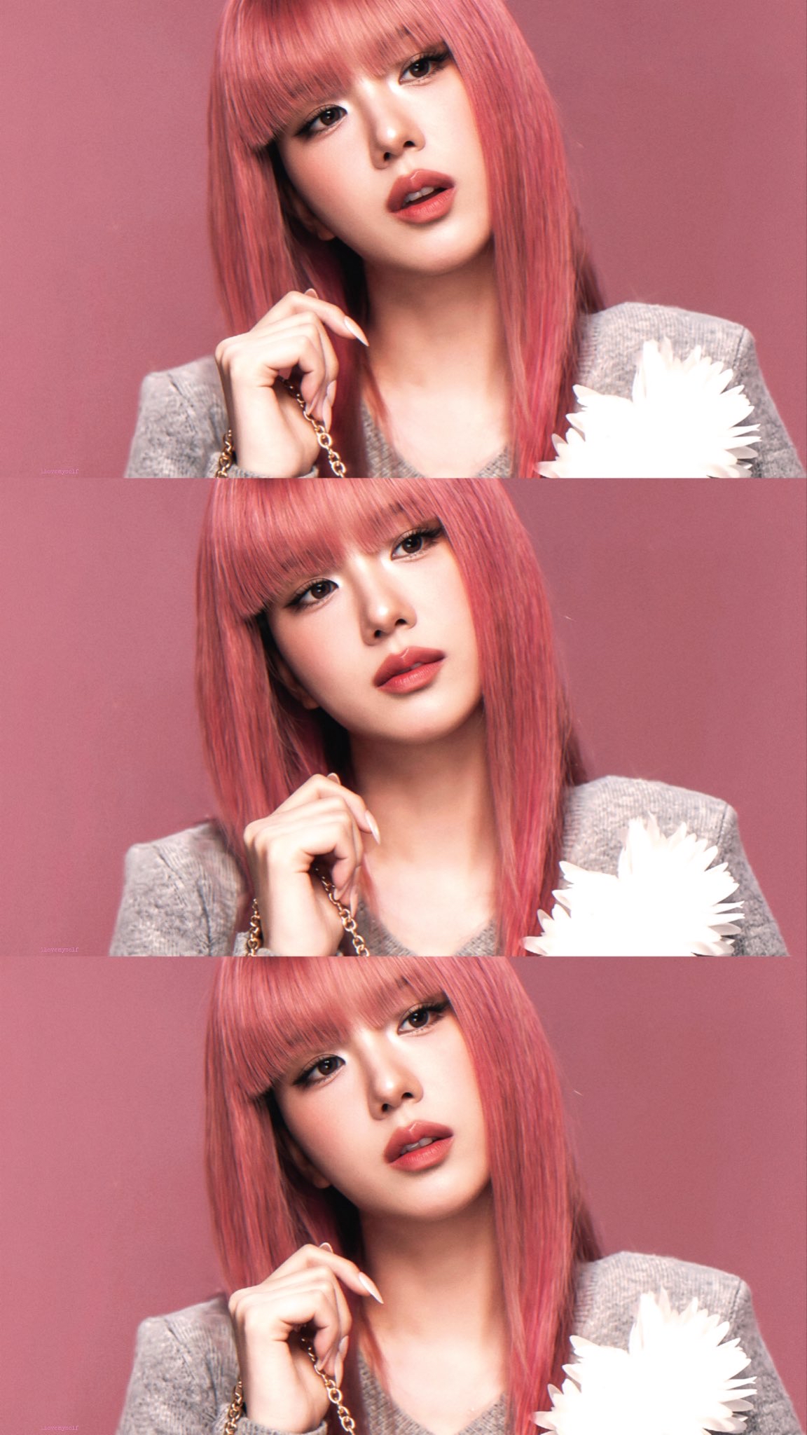 Special wallpaper made by Jisoo (1995)'s fans