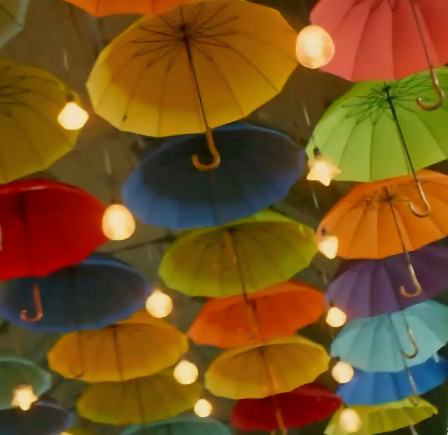 박서진의 비하인드 컷