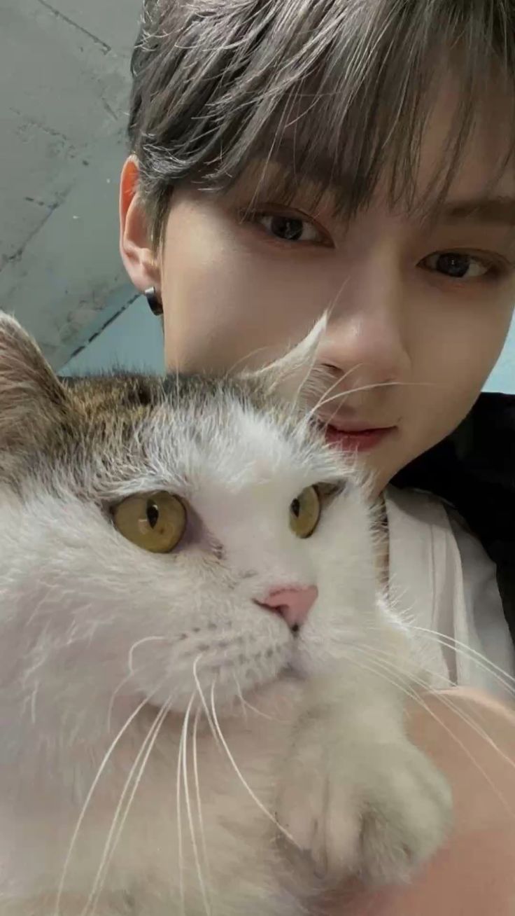 Today's popular wallpaper in Wen Junhui community