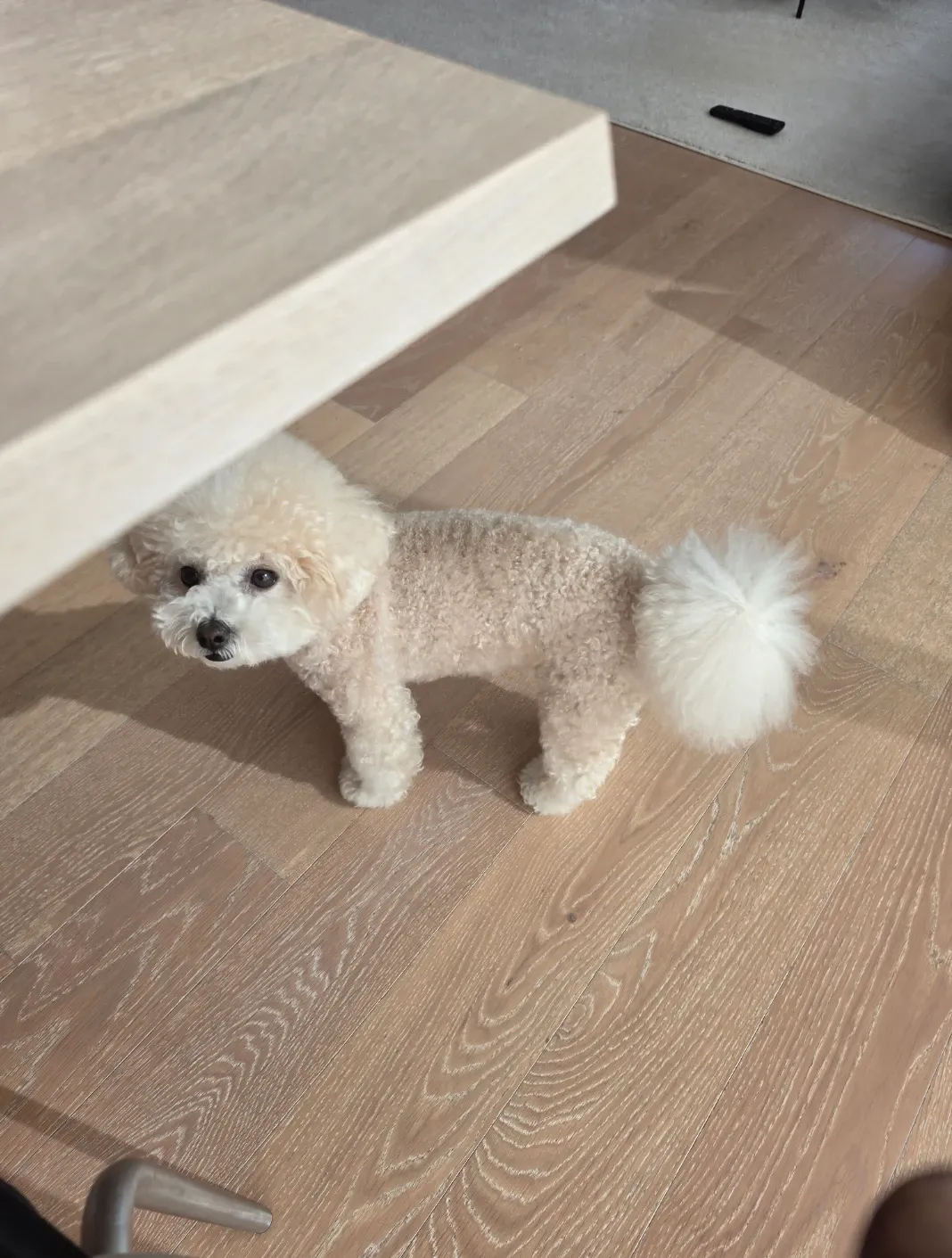 Recent activity shot of Kim Seonho