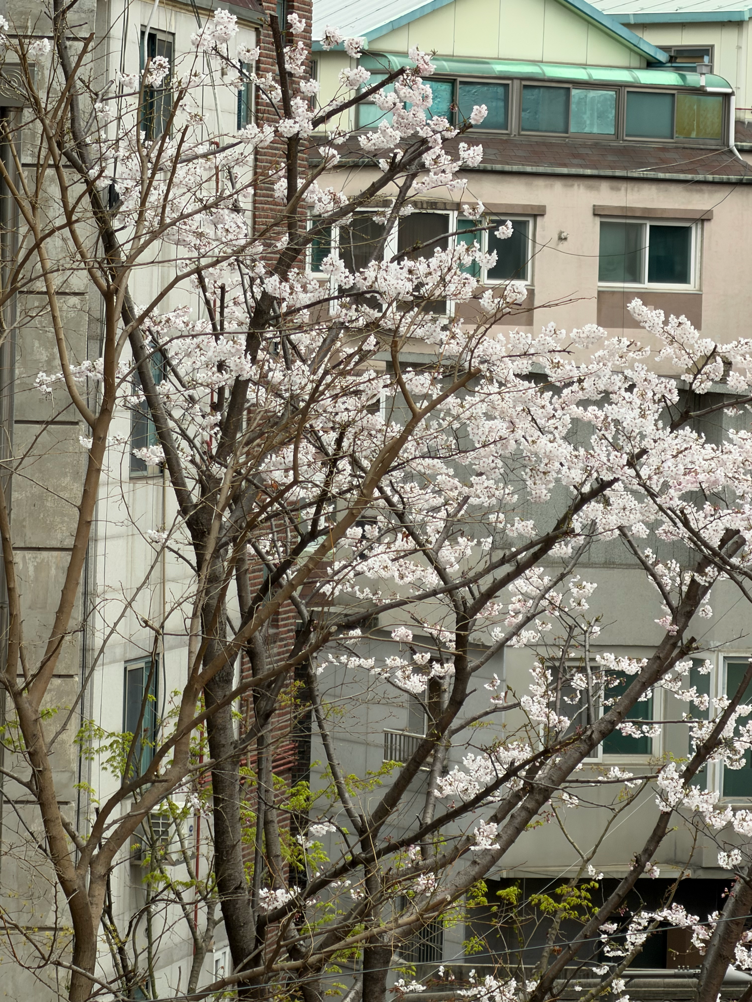 Cuplikan di balik layar dari Kim Seonho