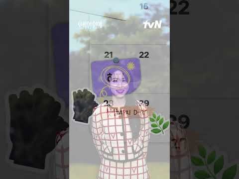 박은빈 팬이 찍은 순간