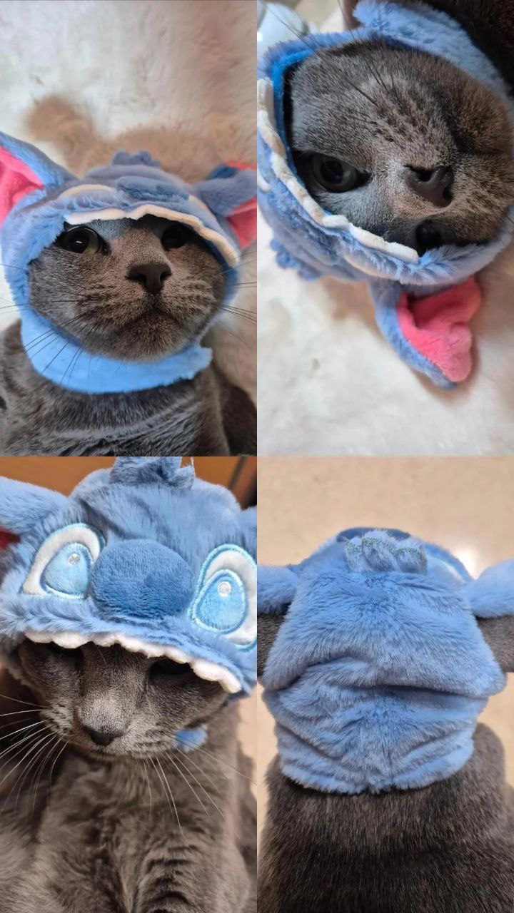 Today's popular wallpaper in Seo Yeaji community