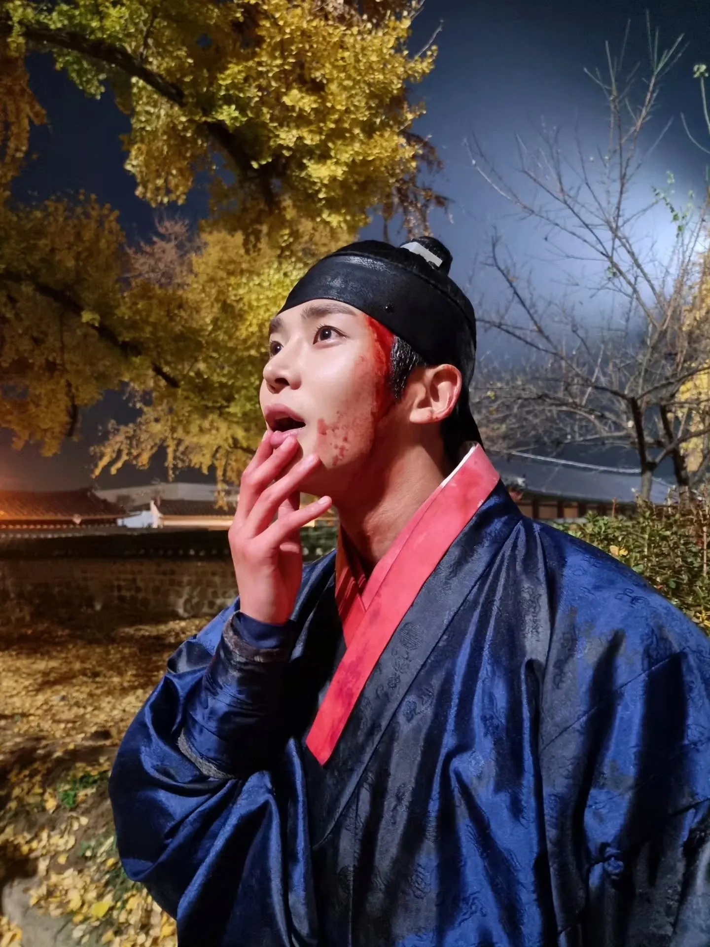 路云的最新照片