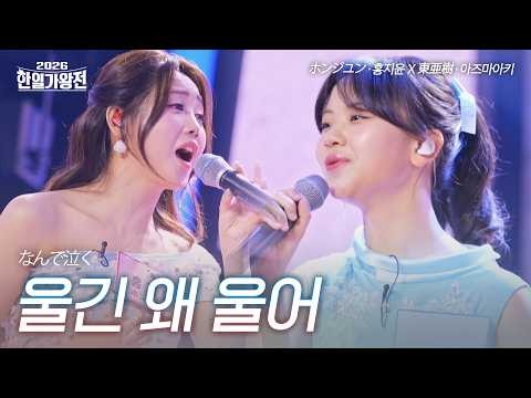 洪智允的近期活动照