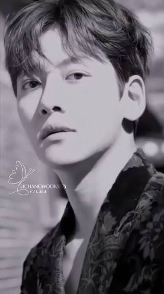 ファンが撮影したチ・チャンウクの瞬間