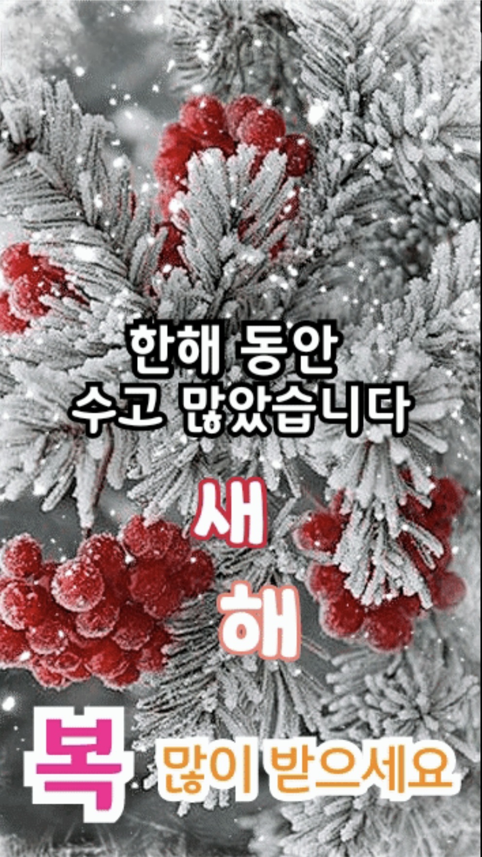 Special wallpaper made by You Jiwoo's fans