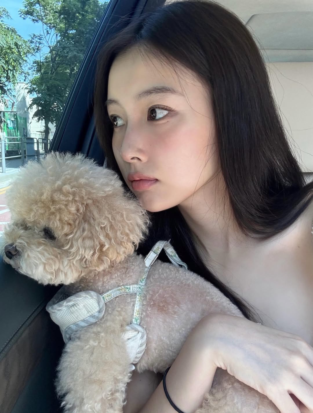 Recent activity shot of Kang Hyewon