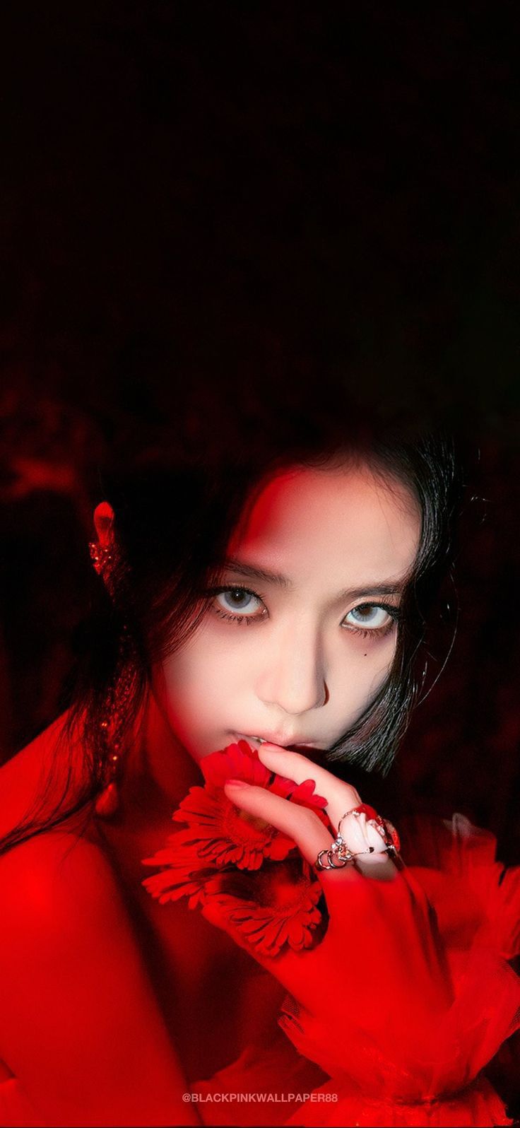 Emotional wallpaper shared by fans for Jisoo (1995)