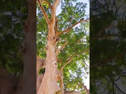 A moment captured by a fan of Lee Joongi