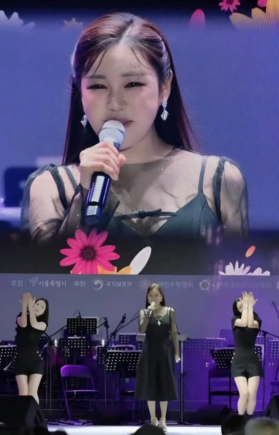 宋歌人的近期活动照