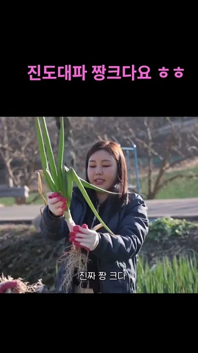 宋歌人的幕後花絮