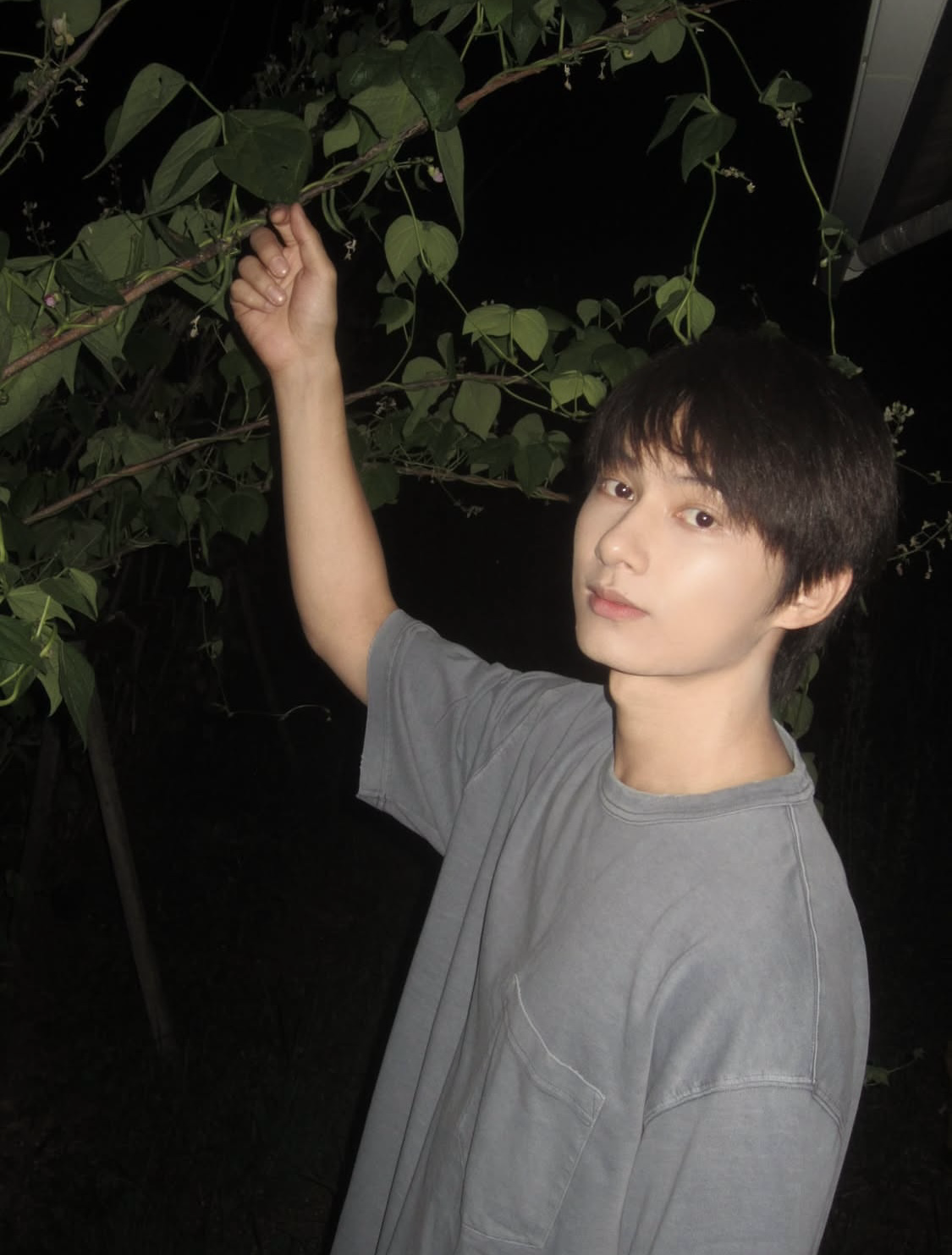 A moment captured by a fan of Wen Junhui