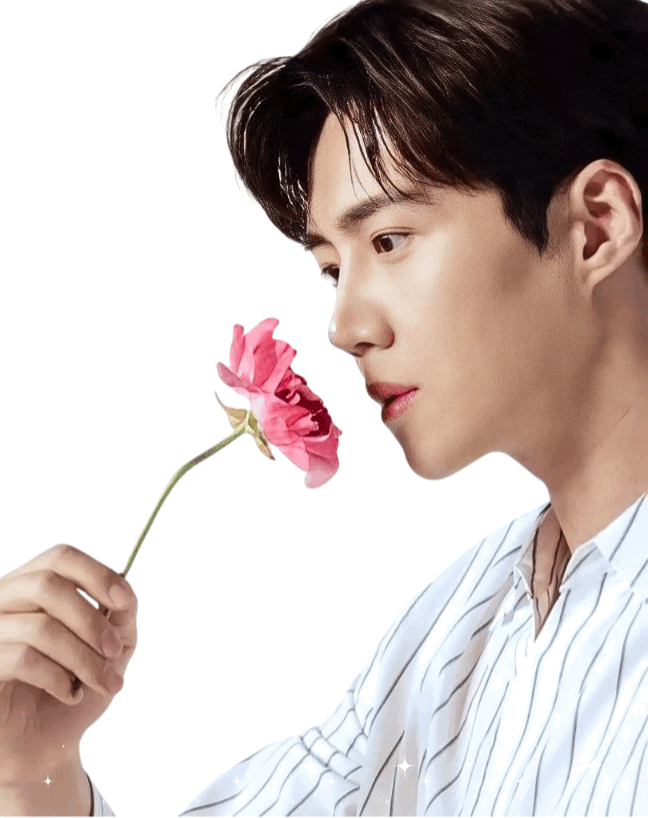 金宣虎的近期活動照