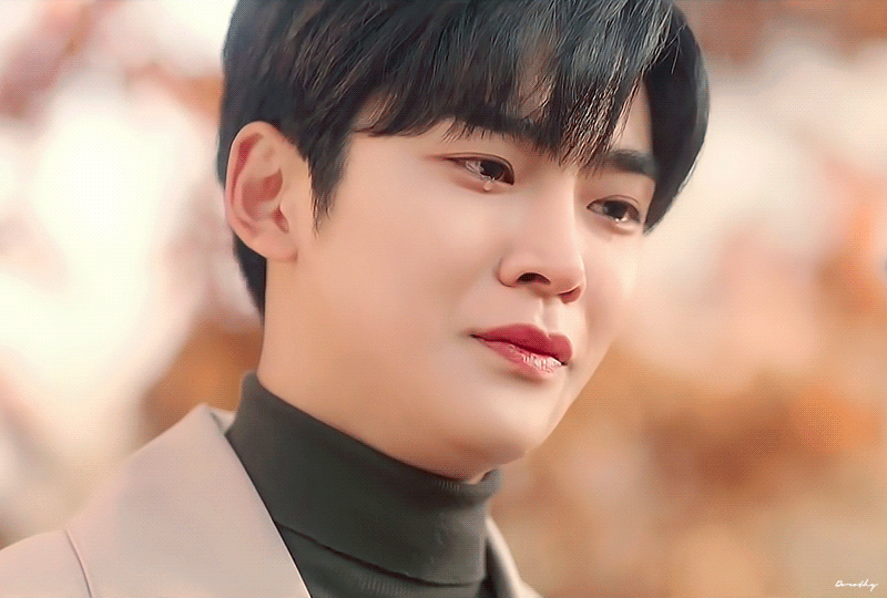 Momen yang diabadikan oleh penggemar Rowoon