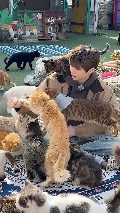 A moment captured by a fan of Secret Garden