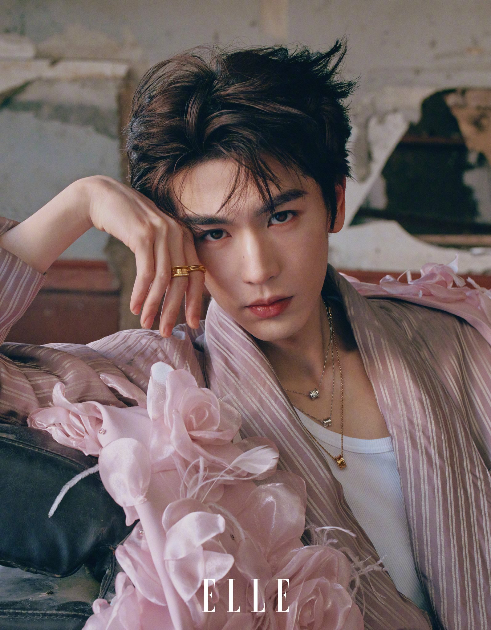 张凌赫的幕后花絮