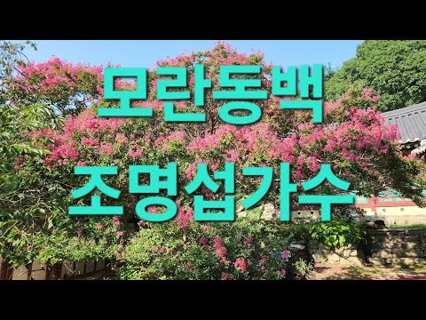 赵明燮的近期活动照