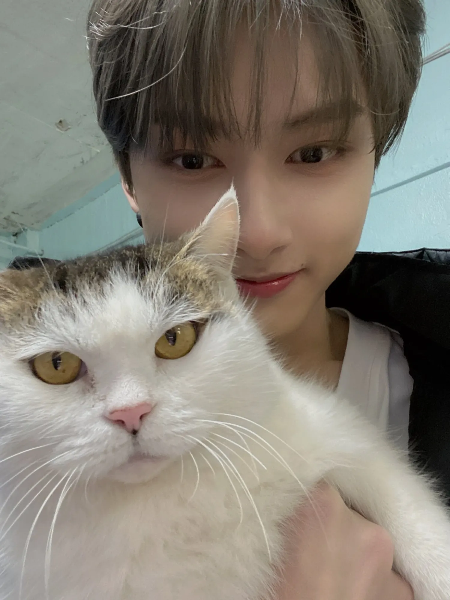 Behind-the-scenes cut of Wen Junhui