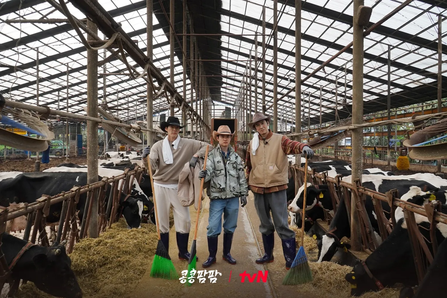 都暻秀 (D.O.)的近期活動照