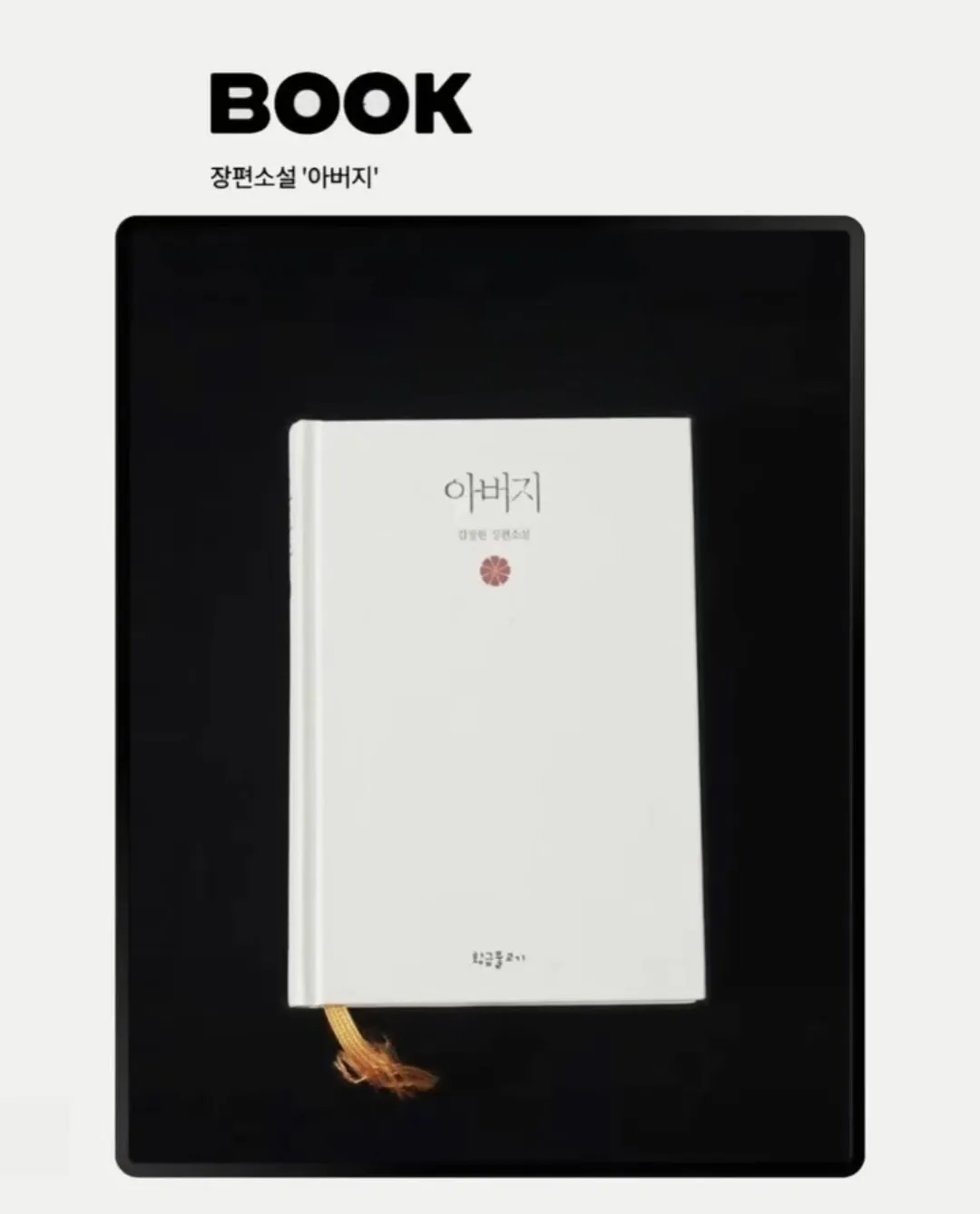 임영웅 팬이 찍은 순간