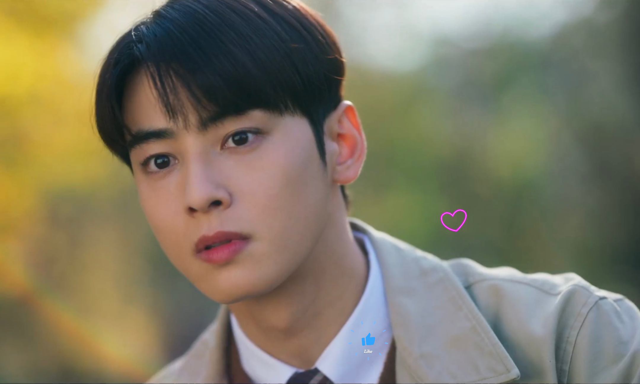 A moment captured by a fan of Cha Eunwoo