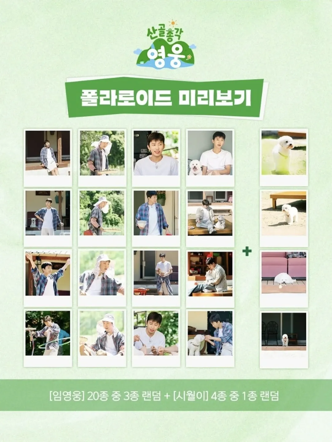 Cuplikan di balik layar dari Lim Youngwoong