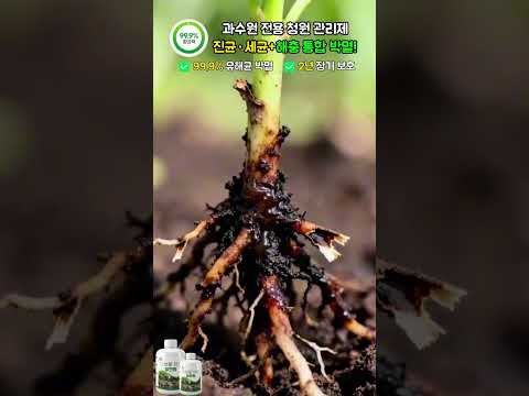 金韶宥的最新照片