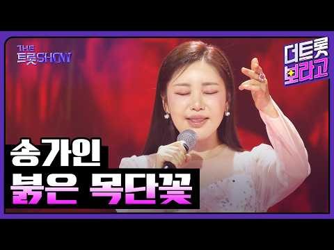 송가인의 최신 사진