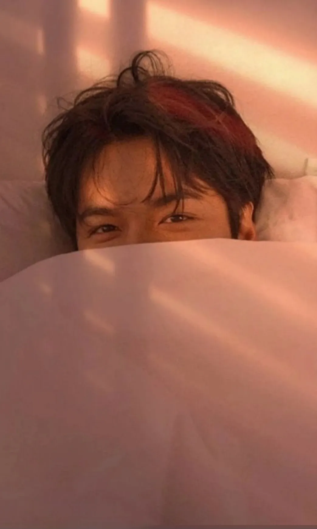 Today's popular wallpaper in Lee Minho community