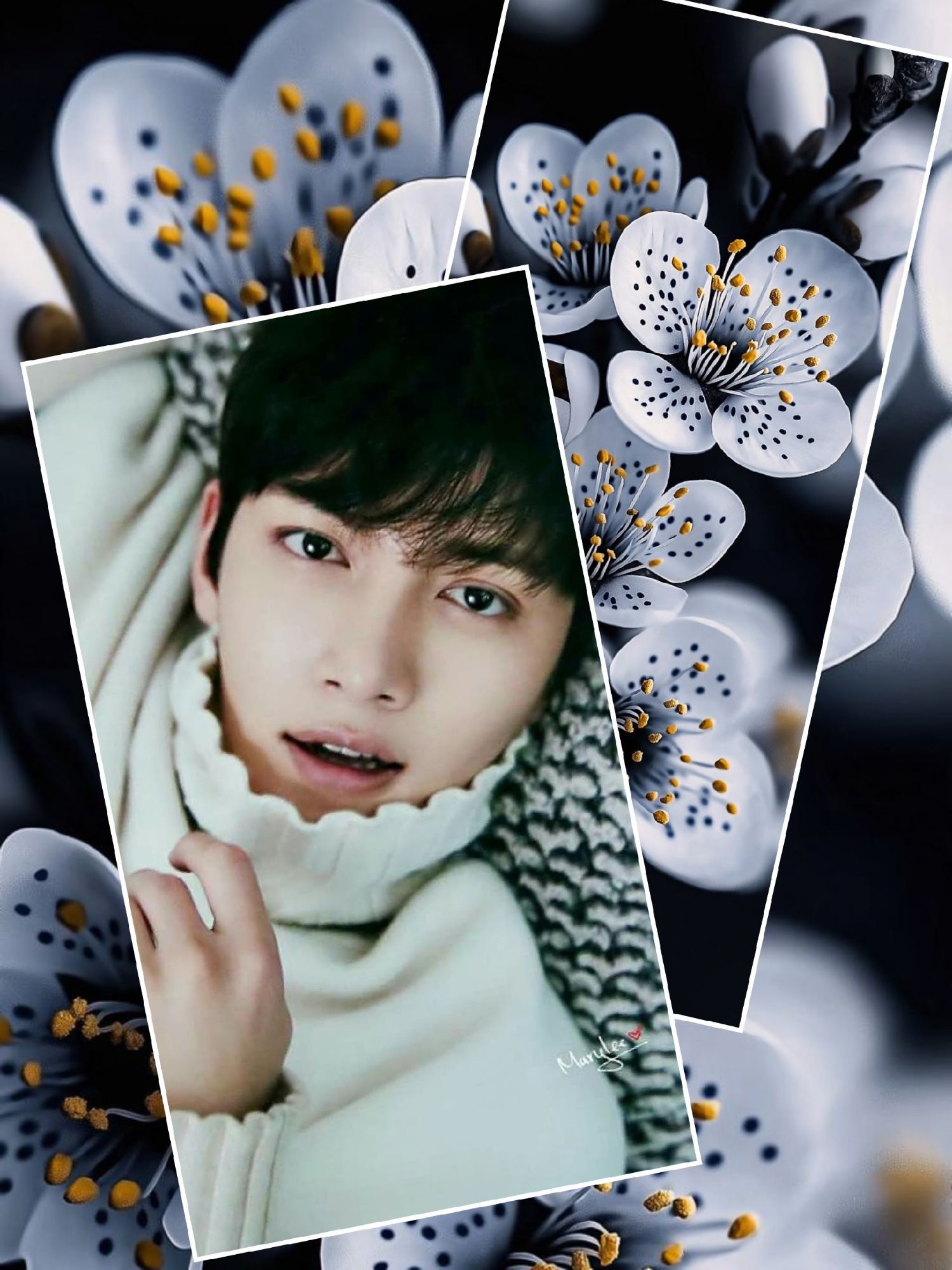 Latest photo of Ji Changwook