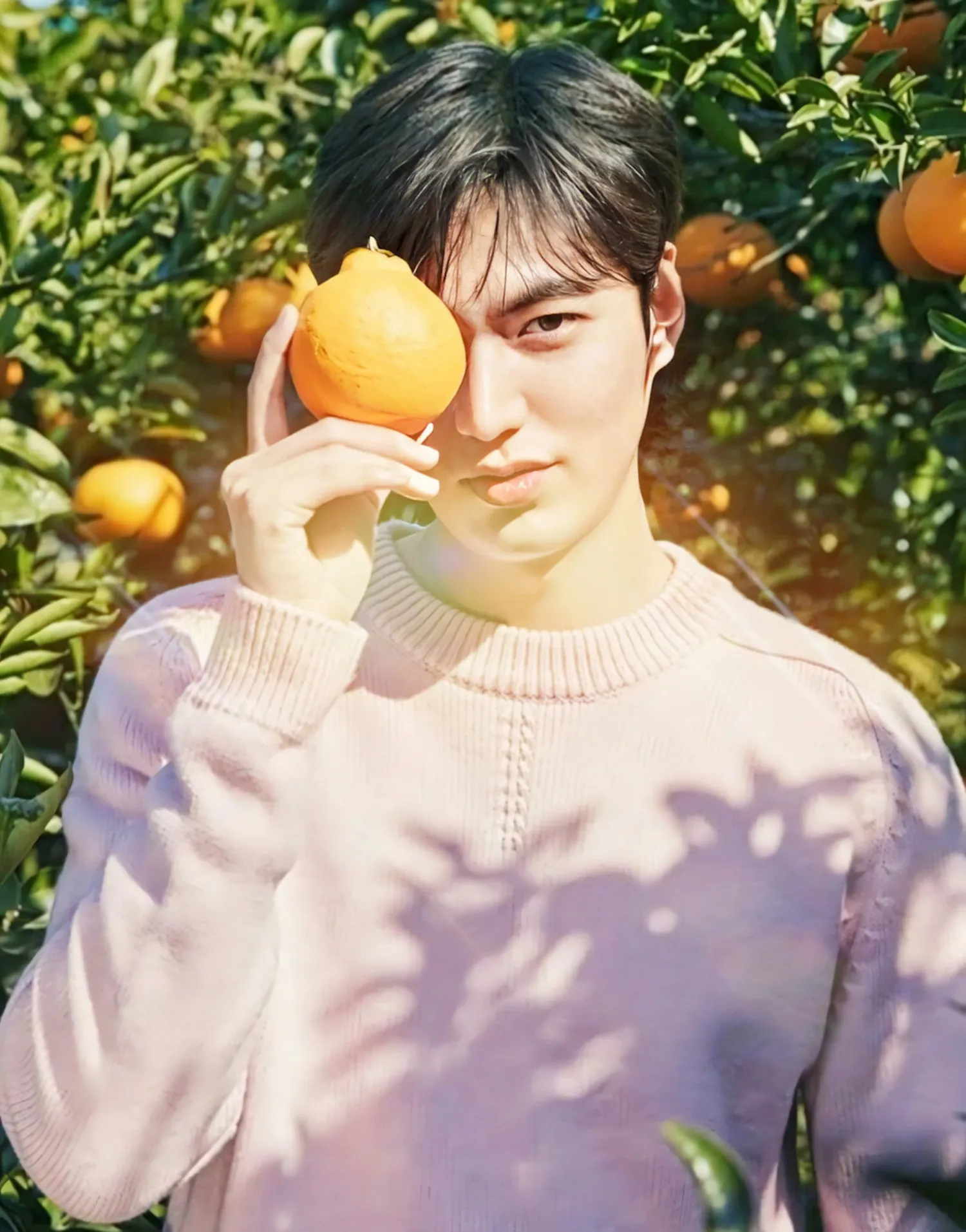 李敏镐的幕后花絮