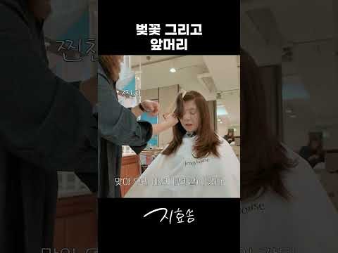 ソン・ジヒョの最近の活動ショット