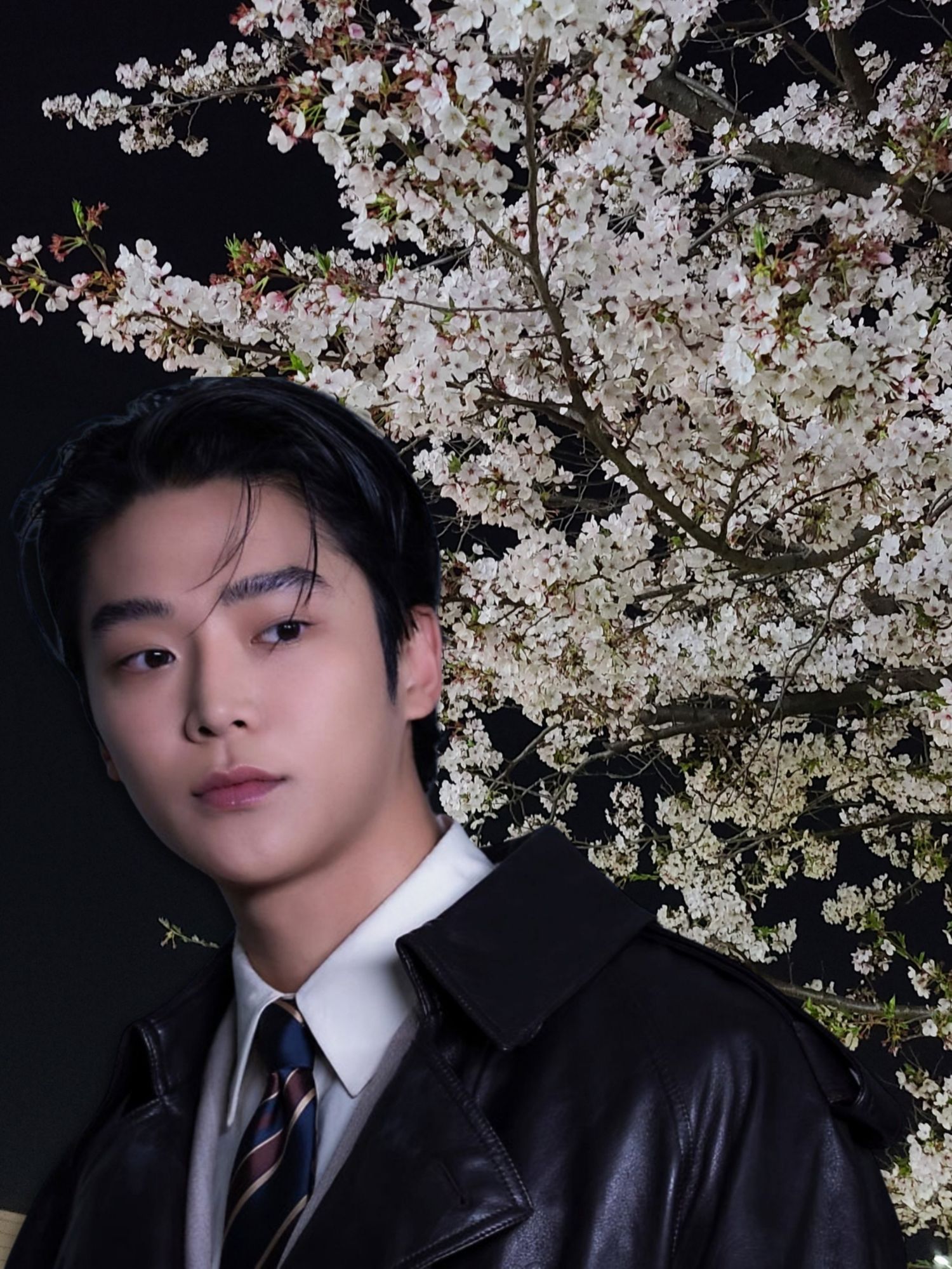 로운의 최신 사진