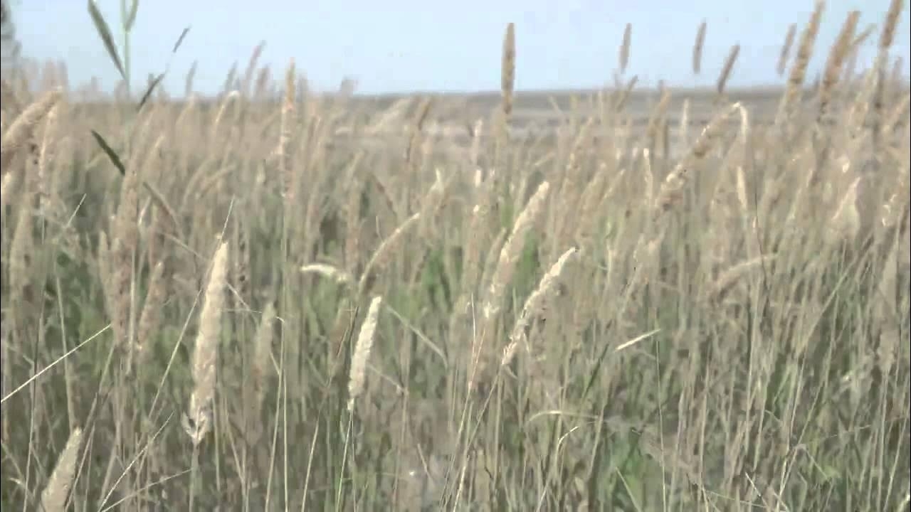 イ・ミンホのビハインドカット