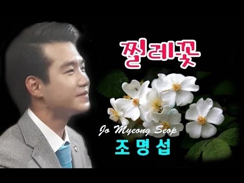 조명섭 최근 활동샷