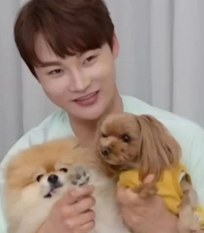 박서진의 최신 사진