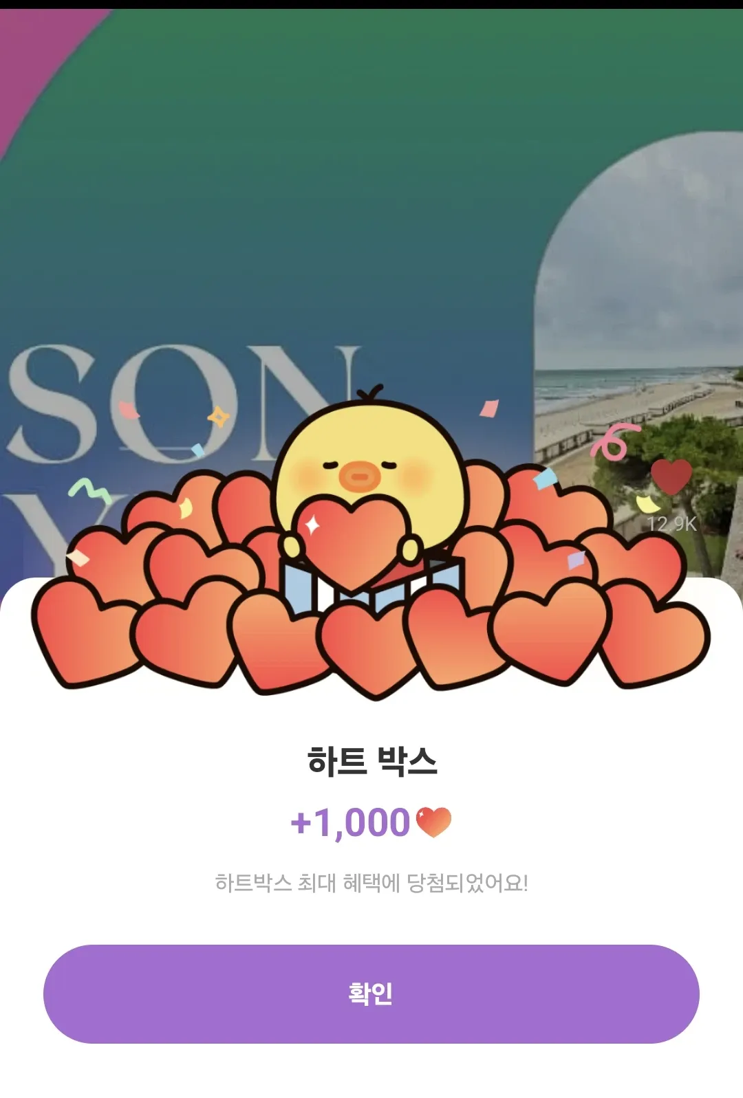 손예진 팬이 찍은 순간