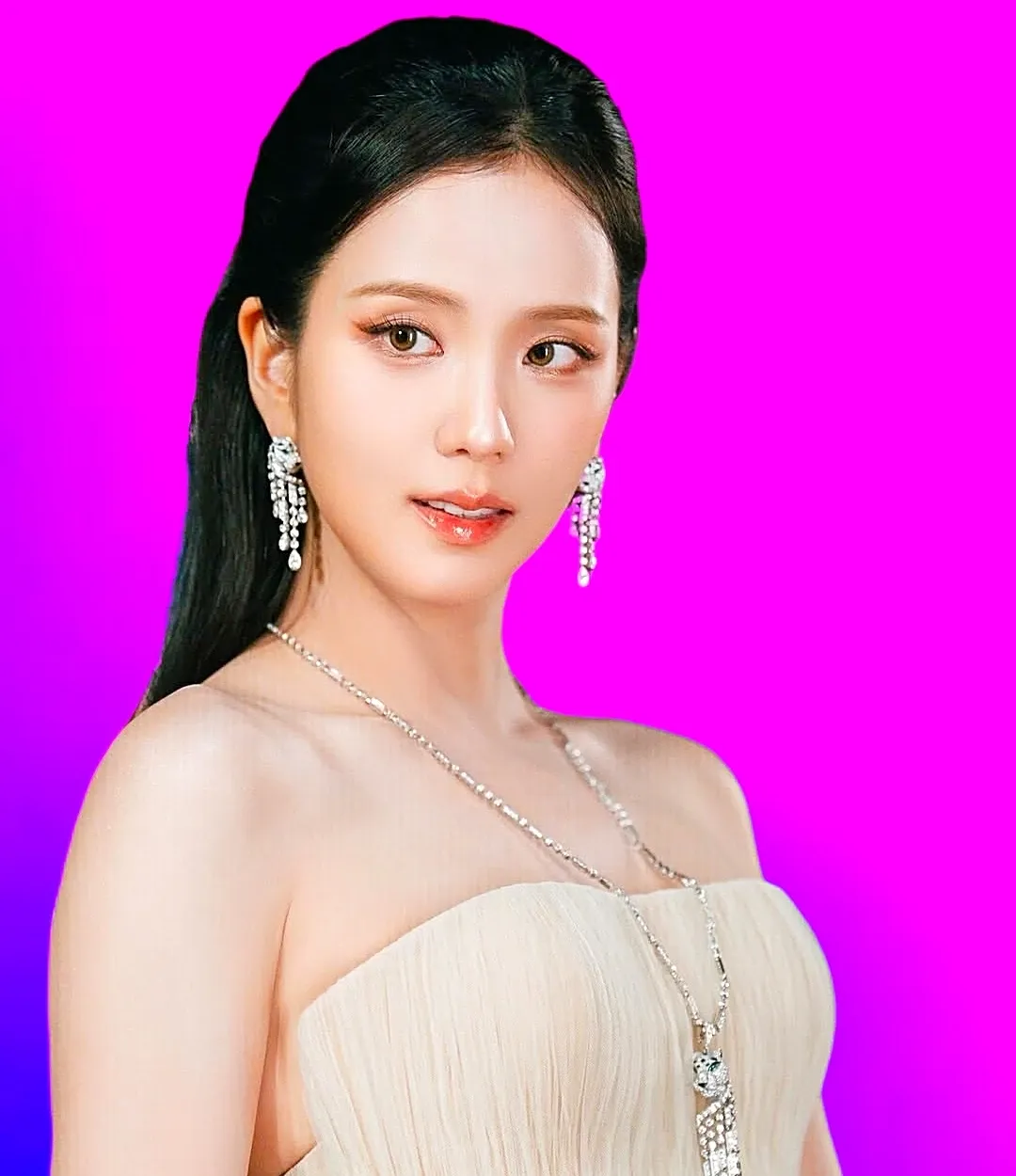 A moment captured by a fan of Jisoo (1995)