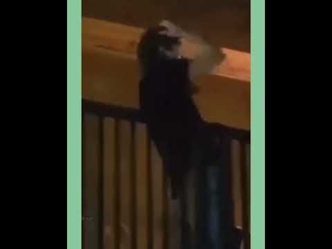 Recent activity shot of Lee Joongi