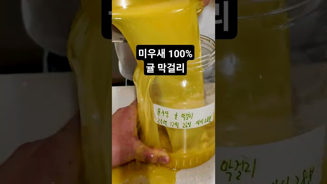 李灿元的最新照片