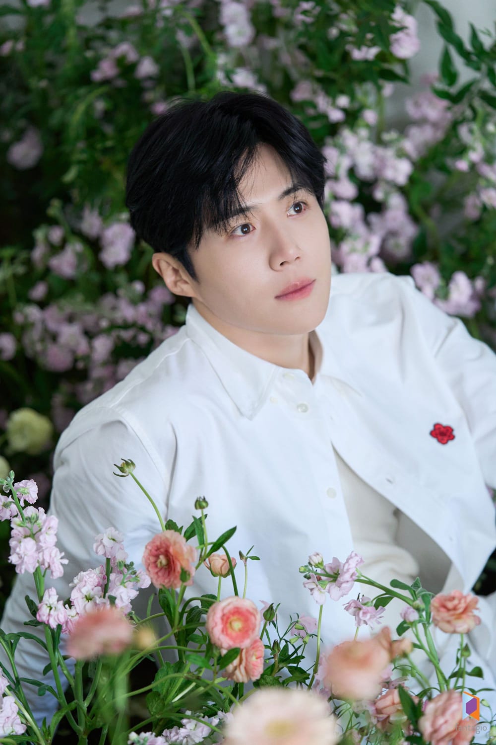 粉丝拍下的金宣虎瞬间