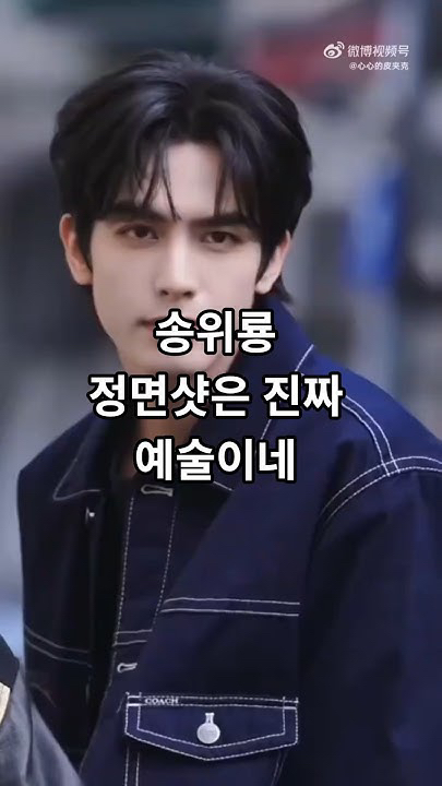 Special wallpaper made by Song WeiLong's fans