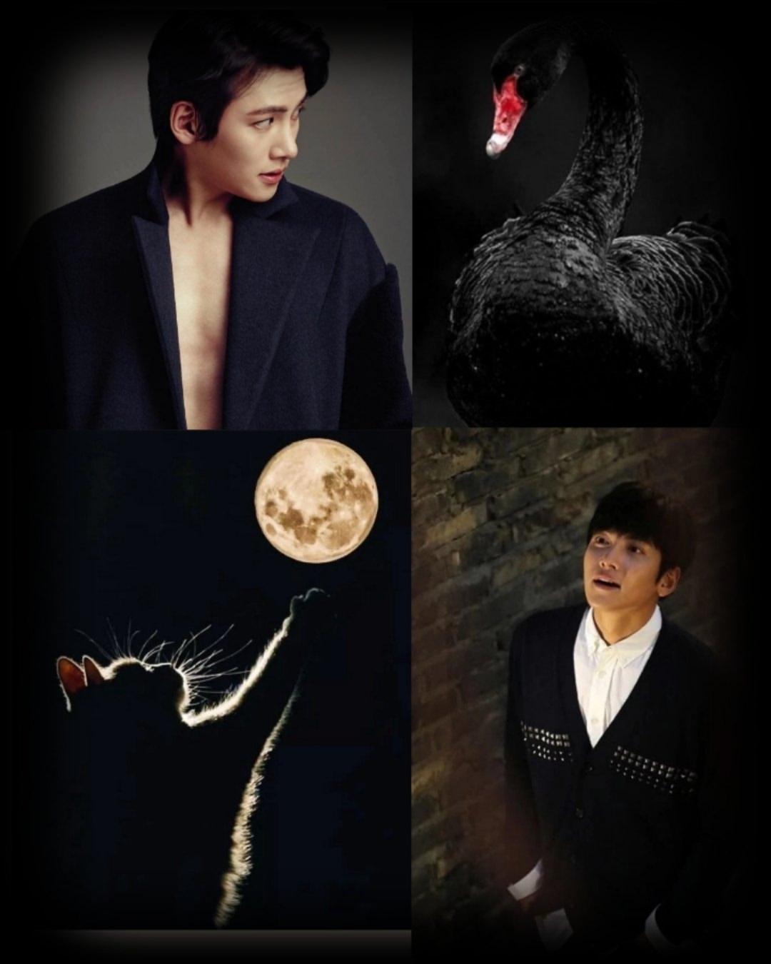 A moment captured by a fan of Ji Changwook