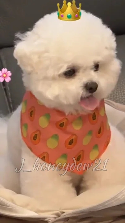 A moment captured by a fan of Cha Eunwoo