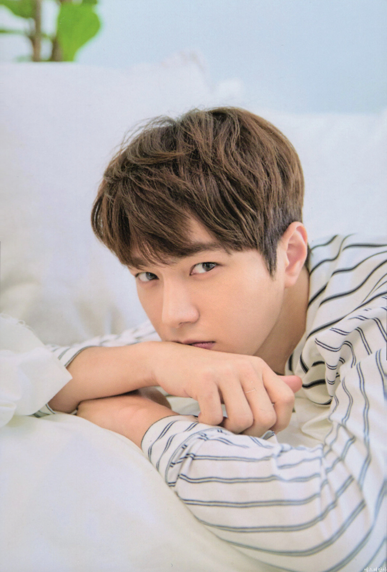 Recent activity shot of Kim Myungsoo (L)