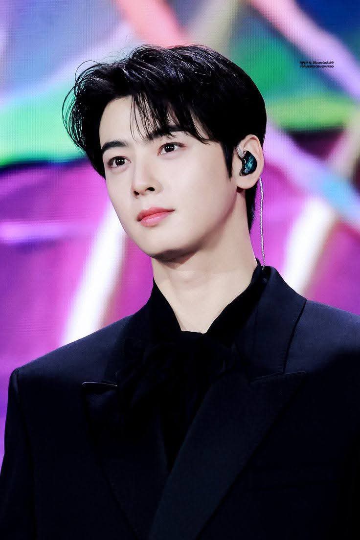 ファンが撮影したチャ・ウヌの瞬間